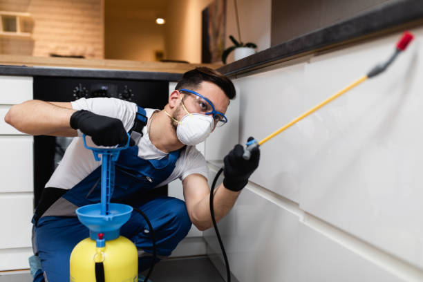 Best Residential Pest Control  in Homewood, IL