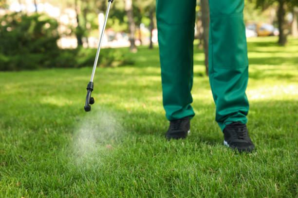 Best Cockroach Control Services  in Homewood, IL