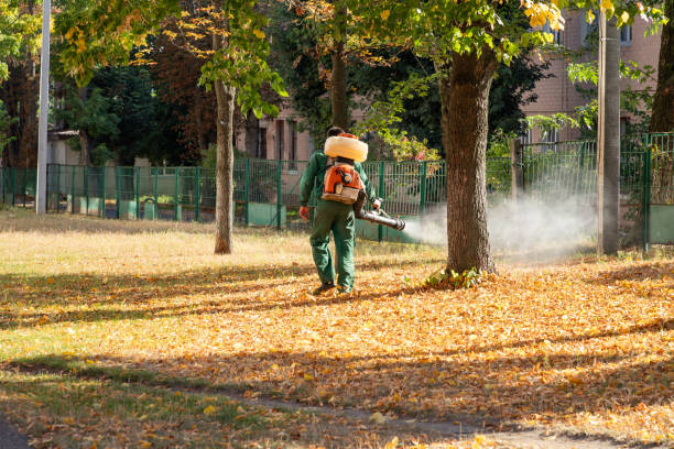 Best Pest Removal Services  in Homewood, IL