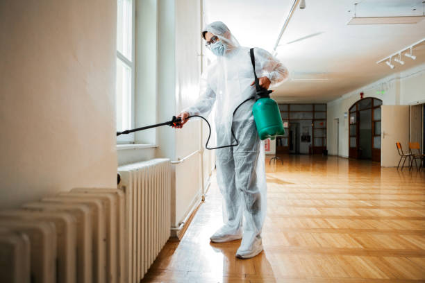 Best Mosquito Control Services  in Homewood, IL