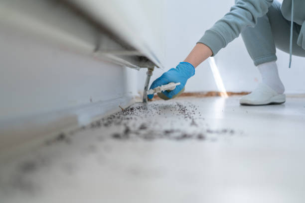 Best Best Pest Control Companies  in Homewood, IL